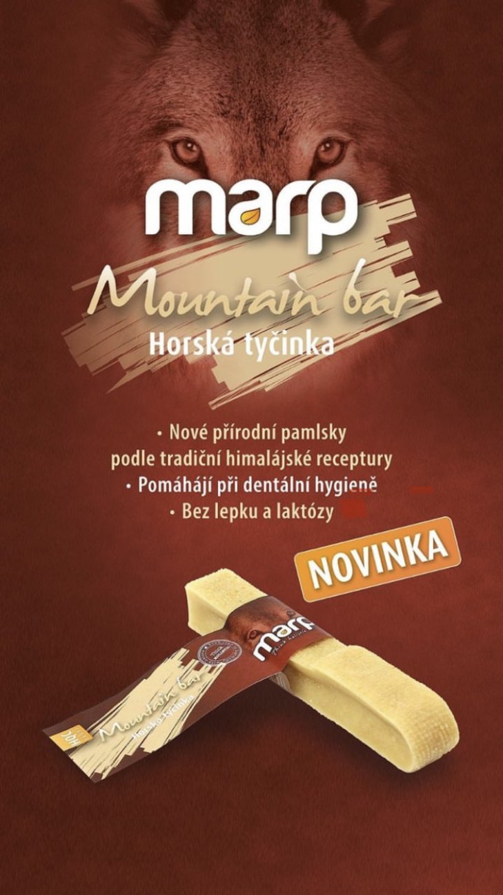 Horská tyčinka