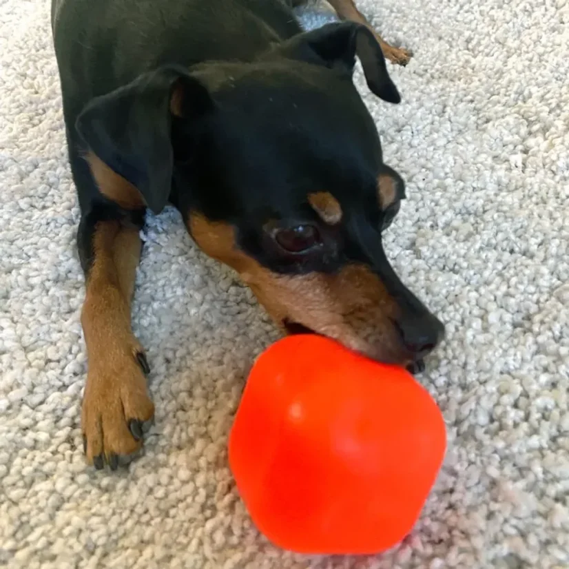 Ruff Dawg nezničitelná hračka pro psy kostka 6,35cm pro psy do 18 kg