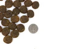 Doxneo Lamb - jehněčí bez obilovin 12kg