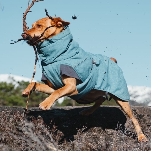 Hurtta obleček Expedition Parka borůvková 30