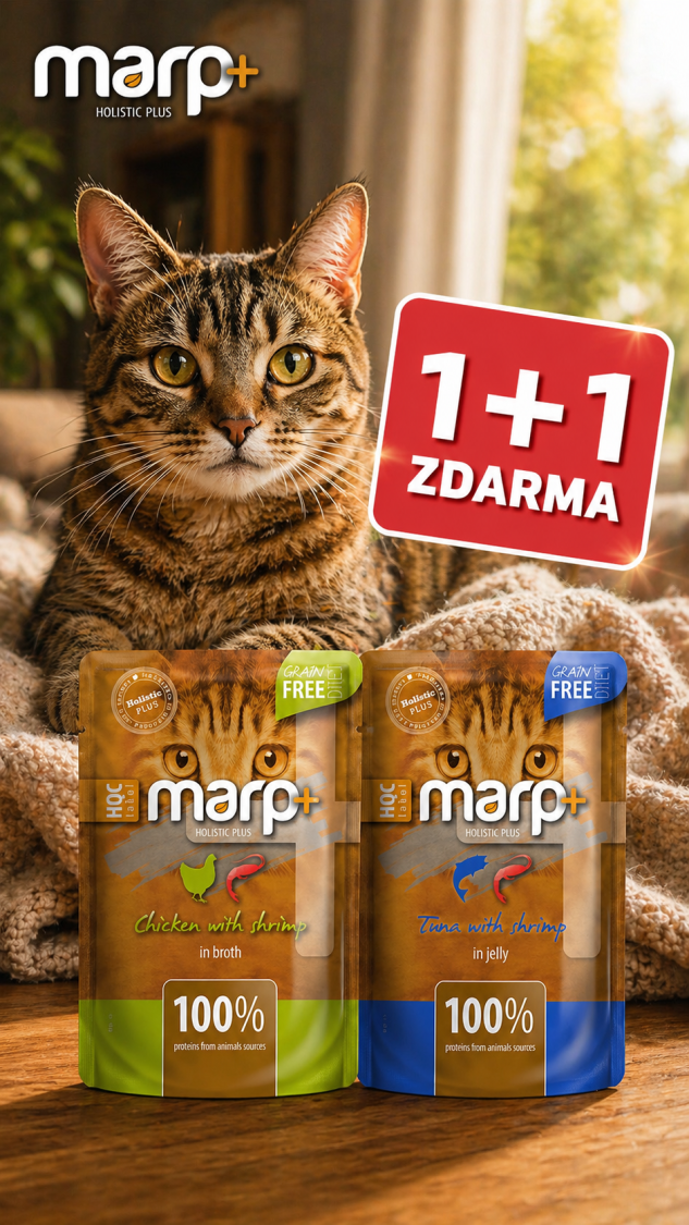 Kapsička 1+1 ZDARMA