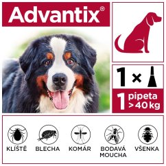 Advantix Spot On 1x6ml pro psy 40-60 kg (EXP: 1/2026)