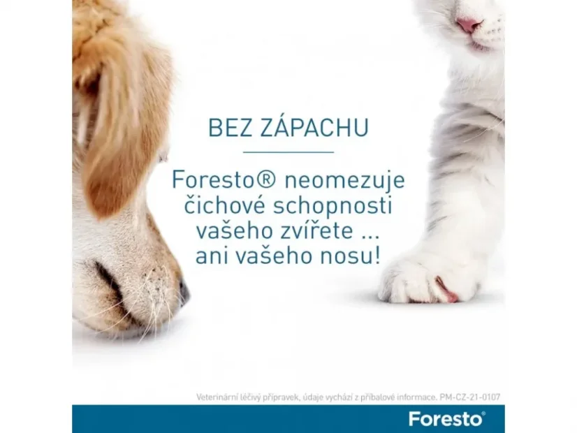 Foresto 38 obojek pro kočky a malé psy do 8 kg