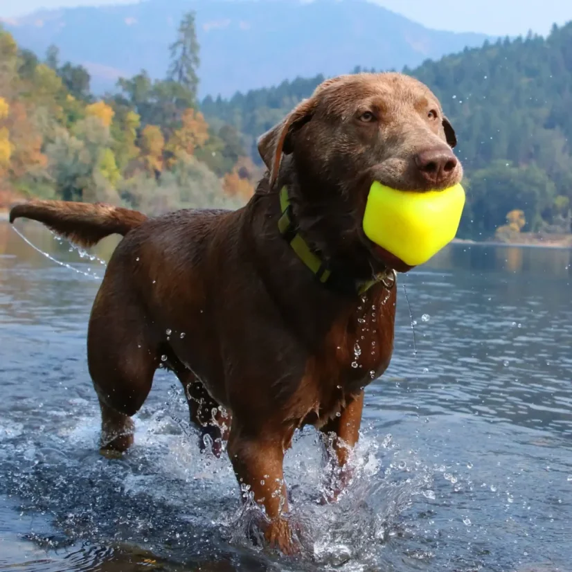 Ruff Dawg nezničitelná hračka pro psy kostka 8,9cm pro velké psy nad 18 kg