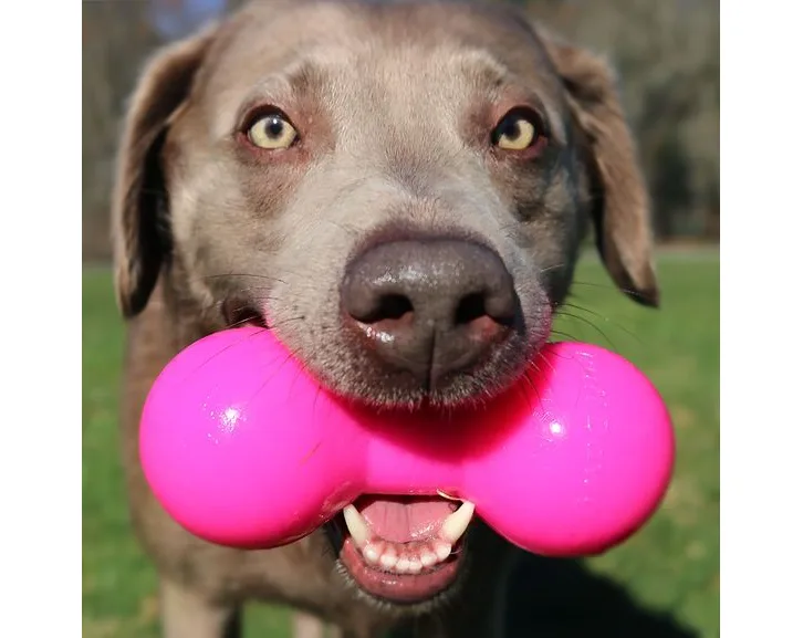 Ruff Dawg nezničitelná hračka pro psy činka 15 cm