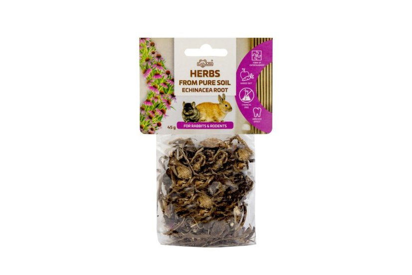 Kořen echinacey 45 g